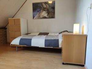 Room for rent 650 euro Wilhelminalaan, Etten-Leur
