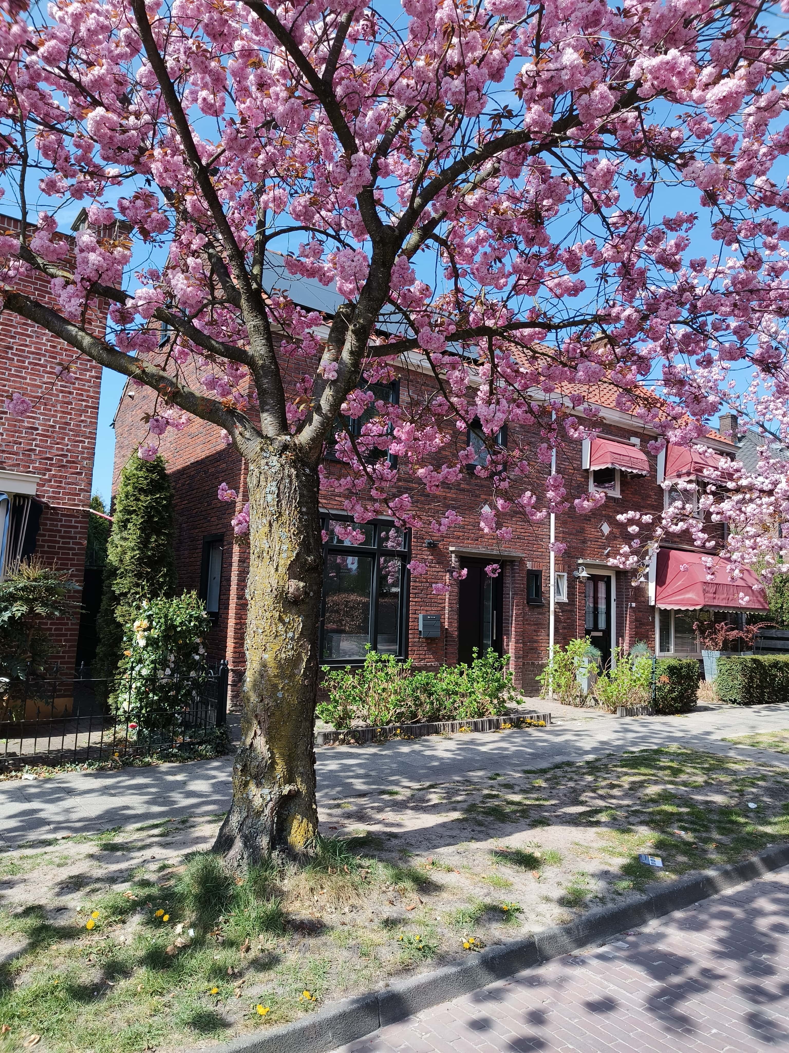 Hoge Boekelerweg