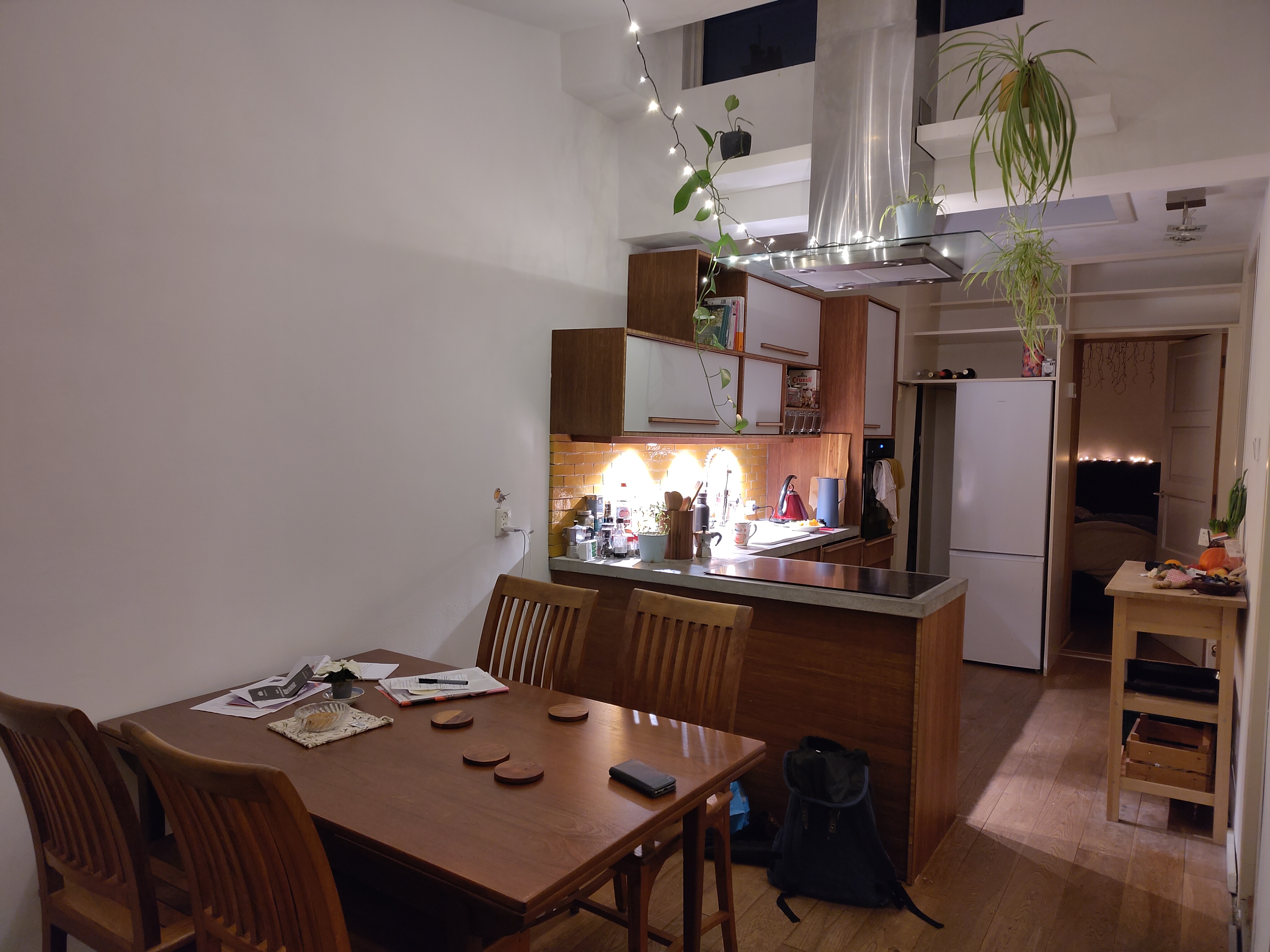 Kamer aan Cartesiusstraat, Den Haag 5