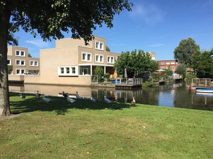 Zimmer bei Jef Laststraat In Rotterdam