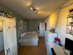 Room for rent 500 euro Papsouwselaan, Delft