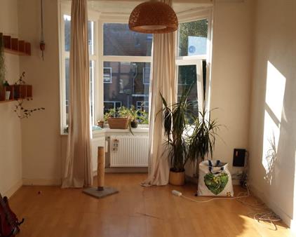 Apartment for rent 1200 euro Ernst Casimirlaan, Groningen