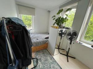 Room for rent 500 euro Korte Vest, Gouda