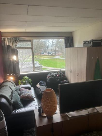 Room for rent 480 euro Calslaan, Enschede