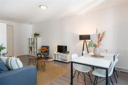 Studio for rent 1500 euro Hofwijckstraat, Den Haag