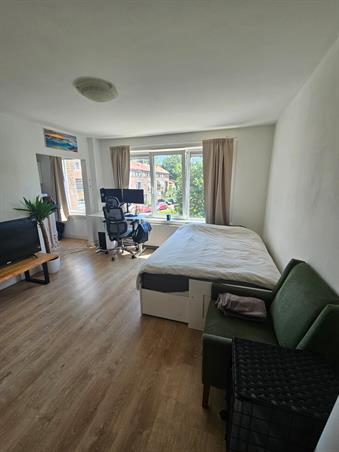 Kamer in Arnhem, Johan de Wittlaan op Kamernet.nl: Leuke lichte studio nabij centrum Arnhem