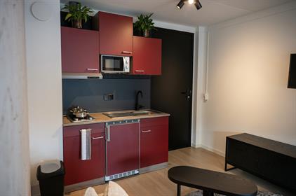 Room for rent 1050 euro Ommedijk, Schipluiden