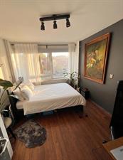 Room for rent 550 euro Oudraadtweg, Delft