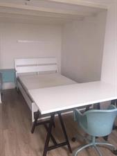 Room for rent 550 euro Graaf Lodewijkstraat, Arnhem