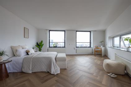 Room for rent 1250 euro Librijesteeg, Rotterdam