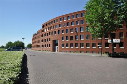 Room for rent 700 euro P. Hans Frankfurthersingel, Amsterdam