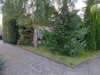 Room for rent 1100 euro Molenlaan, Ruurlo