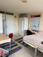 Kamer te huur 895 euro Pad van Dikkertje Dap, Wageningen