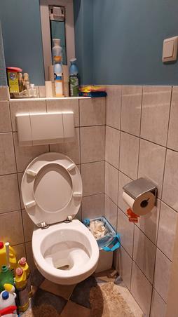 Zimmer bei van Beethovenlaan In Eindhoven