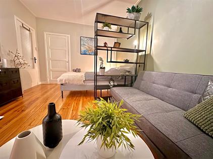 Kamer te huur 850 euro Bolksbeekstraat, Utrecht