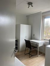 Kamer te huur 495 euro Hofwijk, Honselersdijk