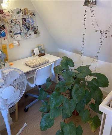 Wohnung bei Jansveld In Utrecht