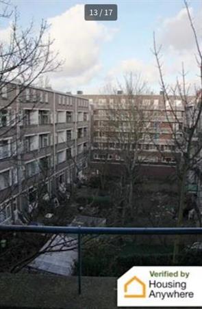 Zimmer bei Schieweg In Rotterdam