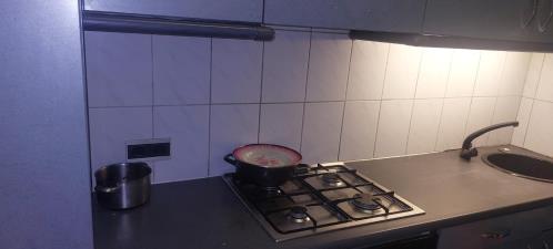 Room for rent 550 euro 's-Gravenzandelaan, Den Haag