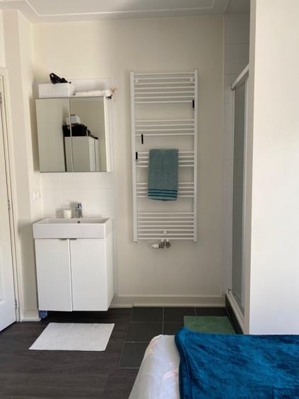 Room for rent 950 euro Shackletonstraat, Amsterdam
