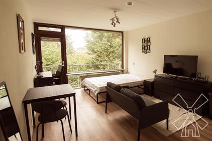 Kamer te huur 950 euro Elviraland, Den Haag