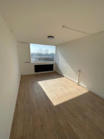 Room for rent 800 euro Klip, Lelystad