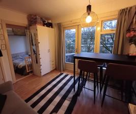 Kamer te huur 400 euro Professor Rankestraat, Groningen