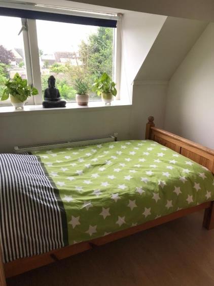 Room for rent 500 euro Benedenrijweg, Rotterdam