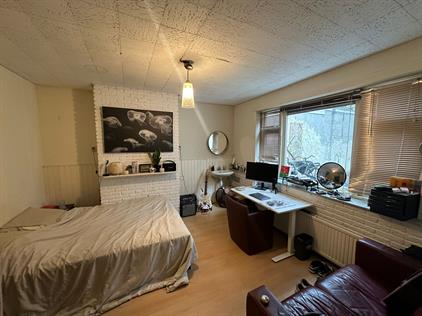Room for rent 525 euro Jozef Israelsstraat, Groningen