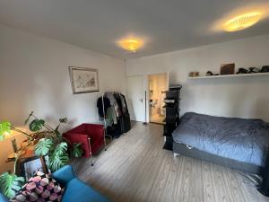 Room for rent 800 euro Bilderdijkstraat, Amsterdam