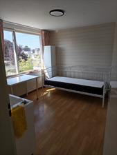 Room for rent 925 euro Ter Hofstadlaan, Someren