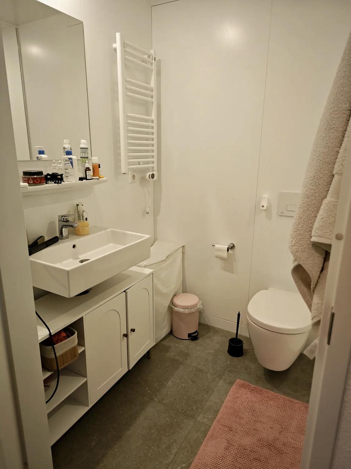 Appartement te huur in Amsterdam – Panamalaan – foto 3