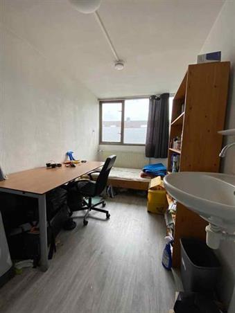 Kamer in Groningen, Briljantstraat op Kamernet.nl: Aan de Briljantstraat komt per 1 september een