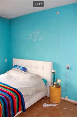 Kamer in Rotterdam, Schieweg op Kamernet.nl: Most colorful room in Rotterdam 