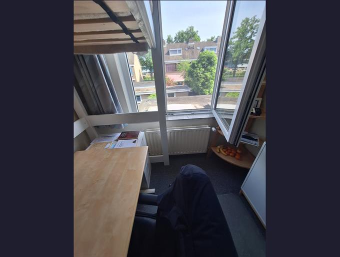 Zimmer bei Remuslaan In Eindhoven