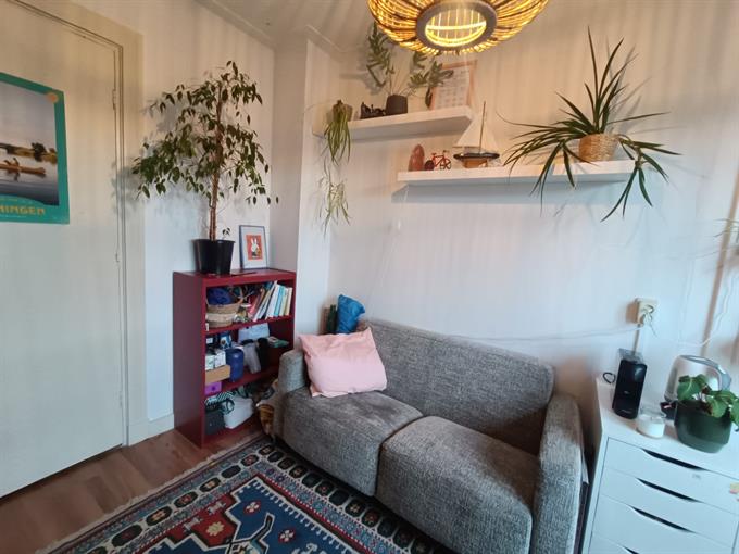 Zimmer bei Petrus Campersingel In Groningen