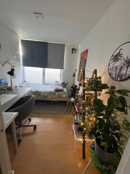 Kamer te huur 425 euro Vughterstraat, Den Bosch