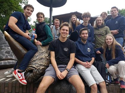 Room for rent 420 euro Calslaan, Enschede