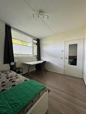 Room for rent 665 euro Leimuidenplaats, Arnhem
