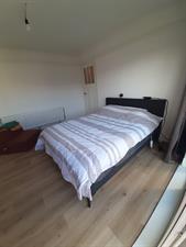 Room for rent 850 euro Burgemeester Knappertlaan, Schiedam