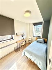 Room for rent 875 euro Eisenhowerlaan, Den Haag