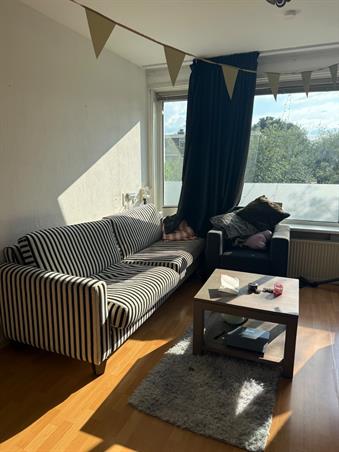 Zimmer bei Abeelstraat In Groningen
