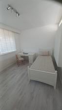 Room for rent 500 euro Den Heuvel, Velp-Rheden