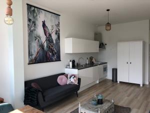 Apartment for rent 1350 euro Almastraat, Groningen