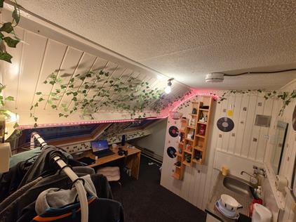 Room for rent 400 euro Oldenzaalsestraat, Hengelo