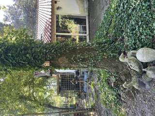 Appartement aan Oudeweg, Hoogland 6