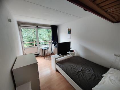 Room for rent 466 euro Witbreuksweg, Enschede