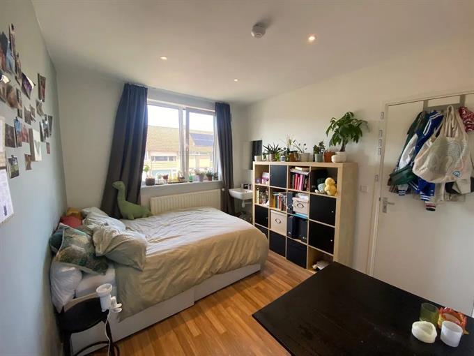 Kamer in Eindhoven, Verschaffeltstraat op Kamernet.nl: (Studenten) huis in Woensel 
