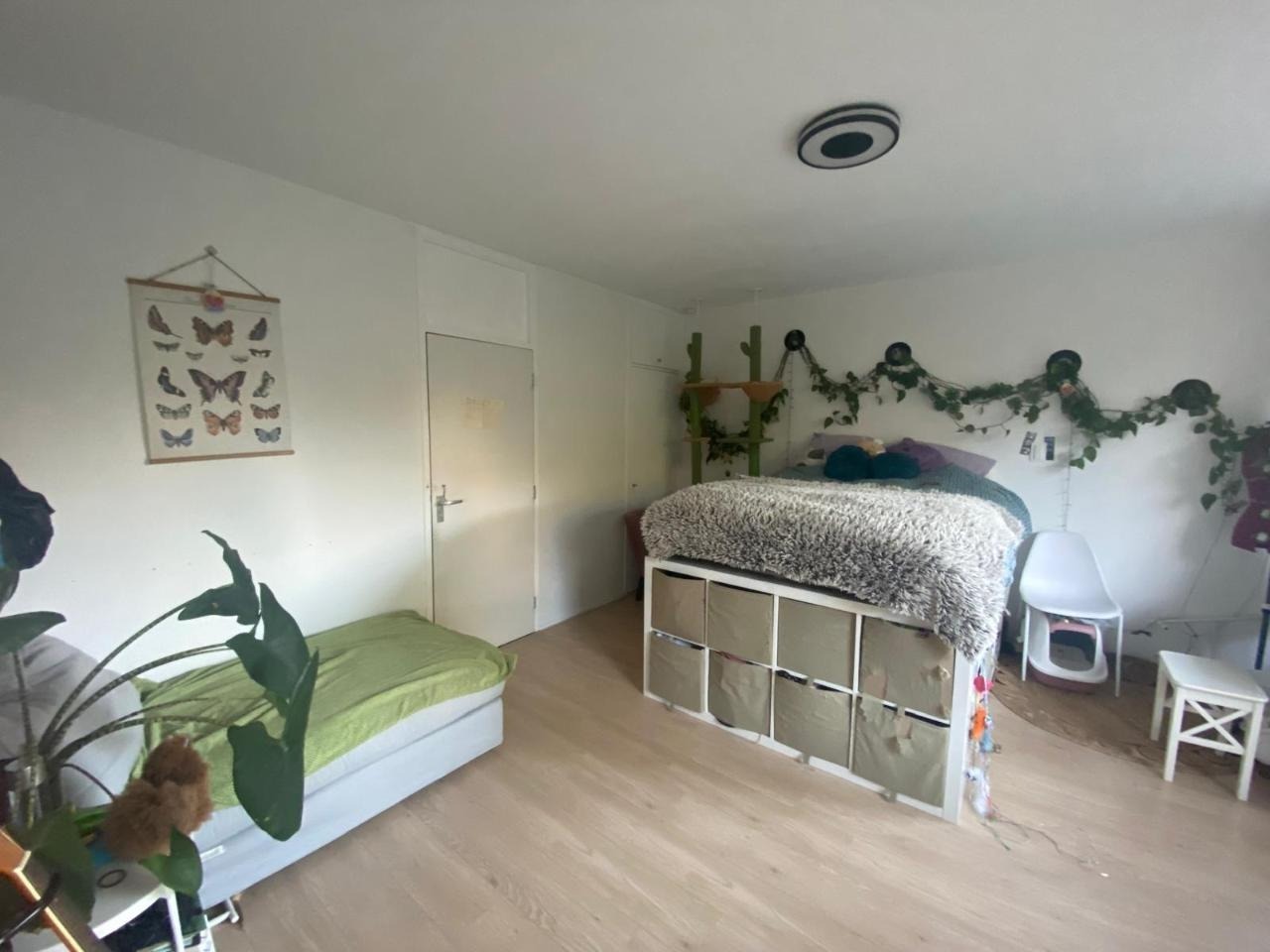 Kamer - van Vredenburchweg - 2284TE - Rijswijk