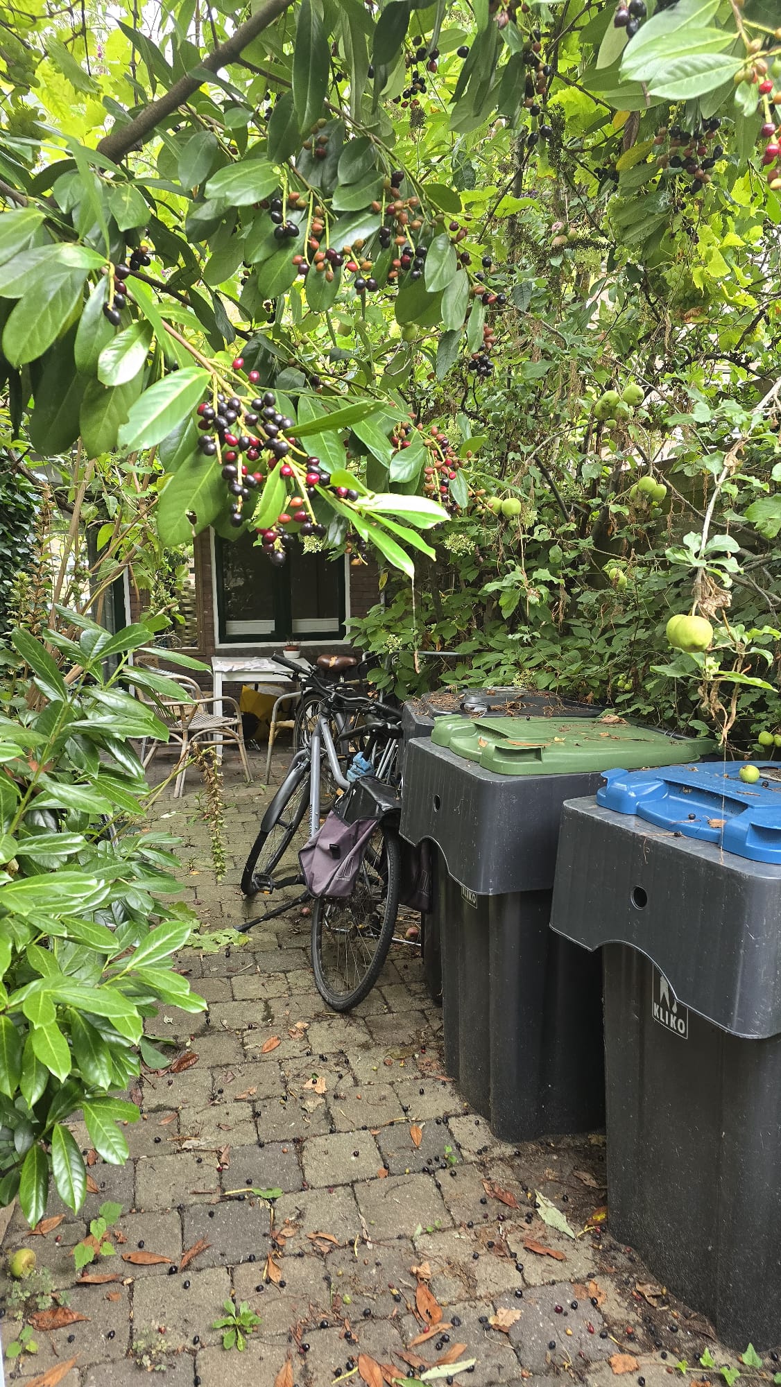 Kamer aan Utrechtse Jaagpad, Leiden 9
